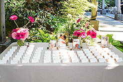 LOVE IN BLOOM AT WISTERIA HALL